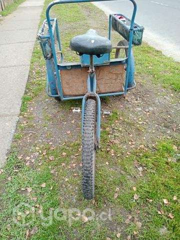 Triciclo conversable - Imagen 3