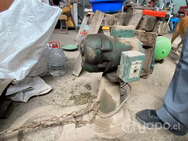 Motor reductor