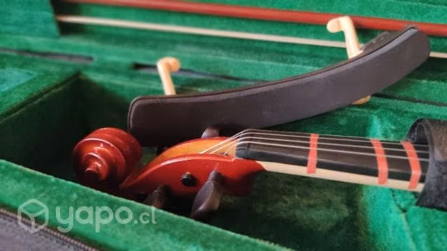 Violin nuevo principiantes