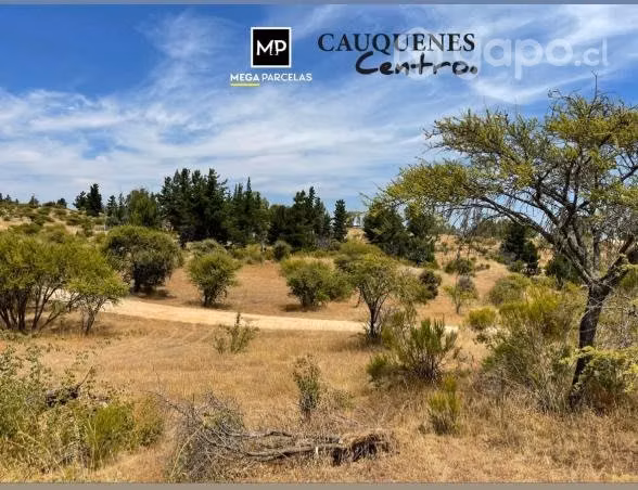 Parcelas en Cauquenes
