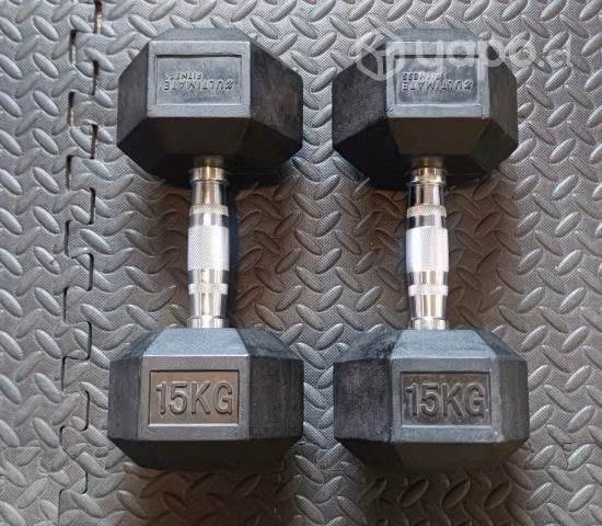 Par mancuernas 15 kg