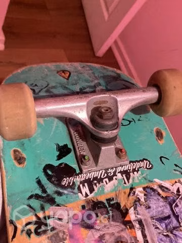 Skate prof