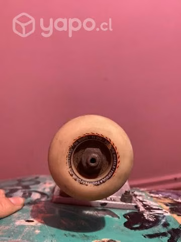 Skate prof
