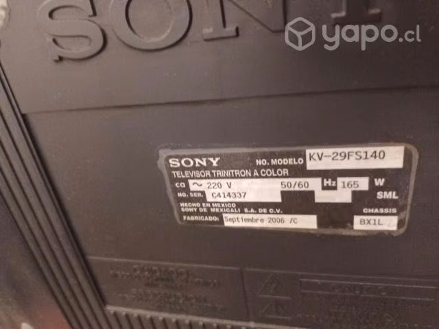 Televisor SONY de 29 Pulgadas Funcionando - Imagen 2