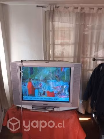 Televisor SONY de 29 Pulgadas Funcionando