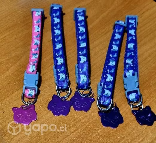 Collares para gatitos - Imagen 3