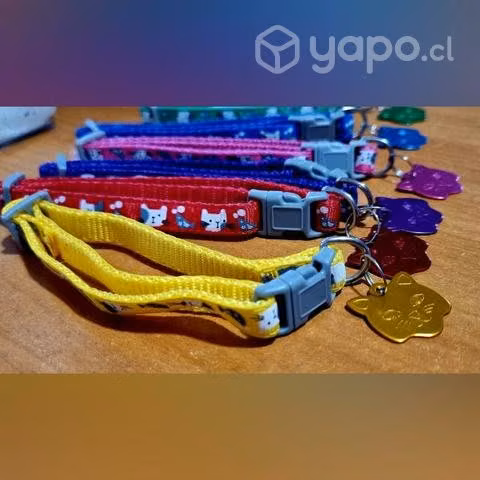 Collares para gatitos - Imagen 2
