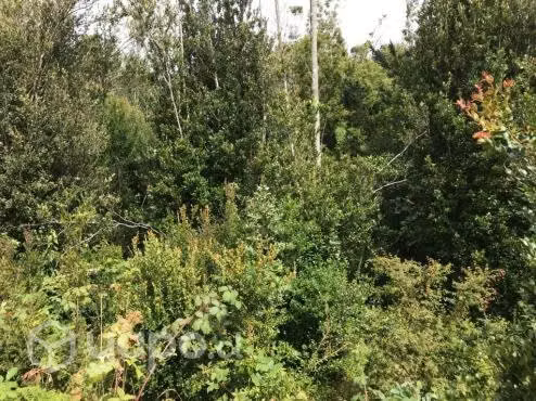 Terreno con orilla de Río