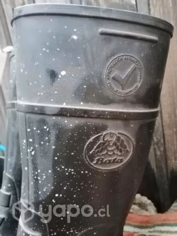 Botas de agua 43