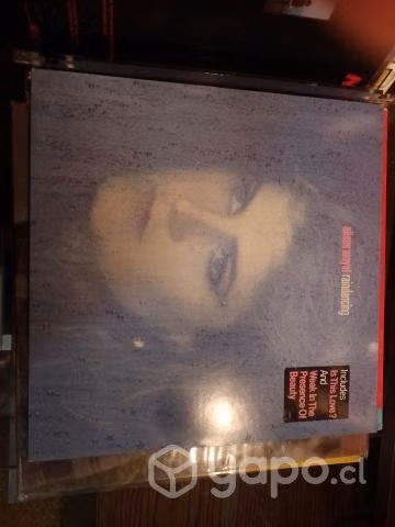 Vinilos día del padre