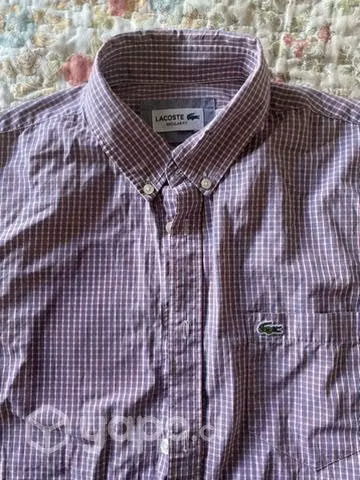 Camisa original lcoste