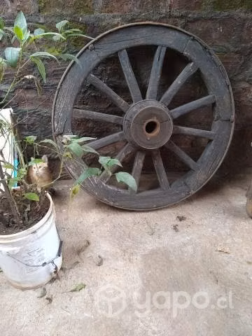 Ruedas de rayos de carreta precio por cada