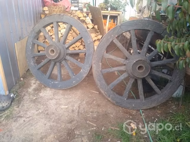 Ruedas de rayos de carreta precio por cada