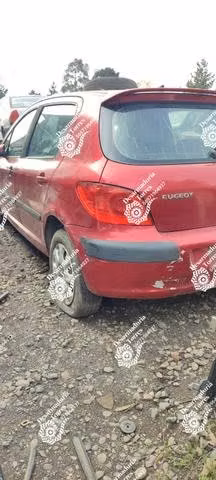 Puerta trasera izquierda Peugeot 307