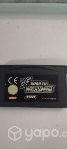 WWF road ro wrestle mania