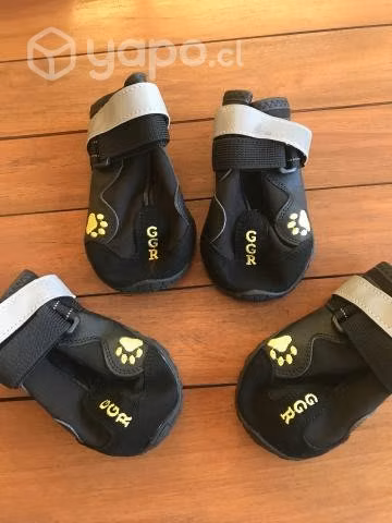 Zapatos para perros No 7