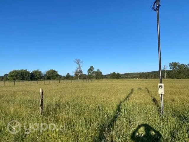 Parcela 5000m2