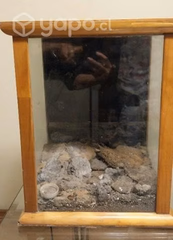 Terrario - Imagen 2