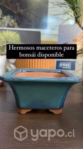 Maceteros