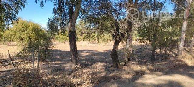 Parcelas de agrado en San Javier - Imagen 13