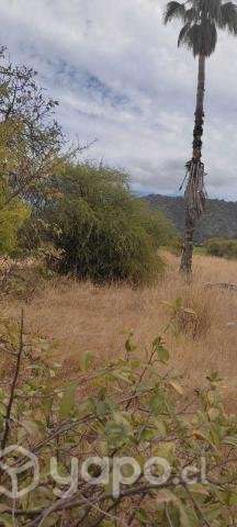 Parcelas de agrado en San Javier - Imagen 14
