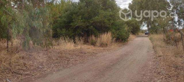 Parcelas de agrado en San Javier - Imagen 15
