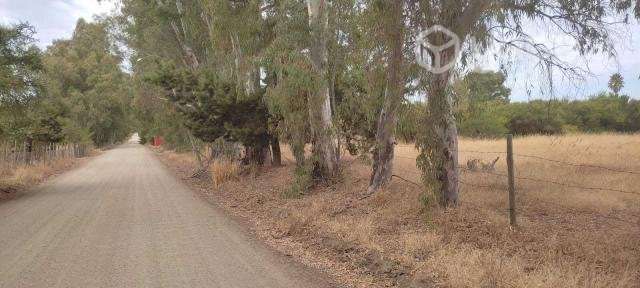 Parcelas de agrado en San Javier - Imagen 12