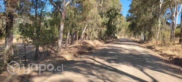 Parcelas de agrado en San Javier - Imagen 9