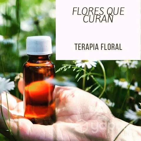 Terapias Floral de Bach - Imagen 2