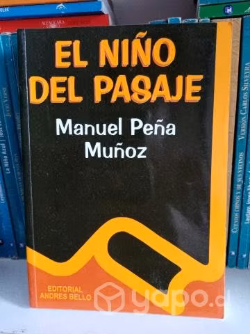 El niño del pasaje