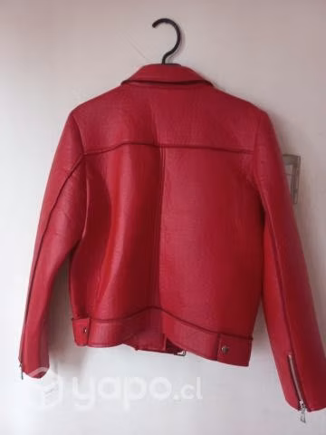 Chaqueta GUES