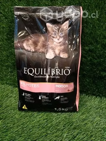 Alimento gatitos