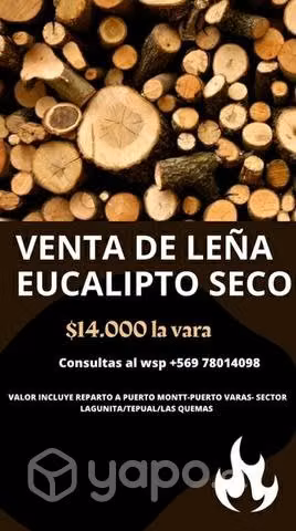 Leña eucalipto seca