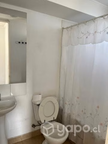 Departamento Parque Vivaceta (Dgo Sta maria vivace