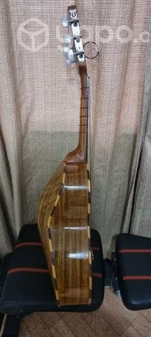 Instrumento vihuela