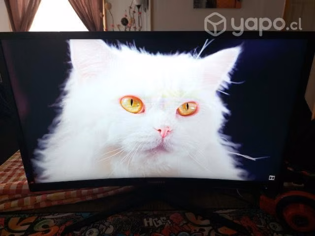 Monitor gamer 24" curvo 144hz gamemax