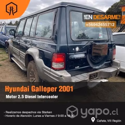 Tapiz techo hyundai galloper 2001