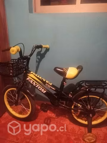 Bicicleta