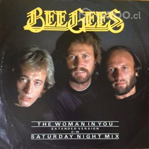 Bee Gees Megamix 12 Inch