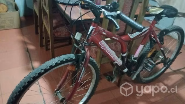 Bicicleta aro 26
