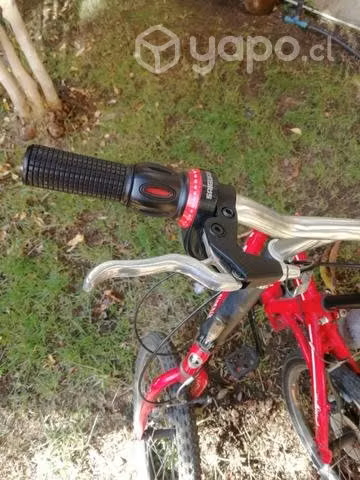 Bicicleta - Imagen 3