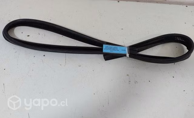 Goma Vidrio Puerta Delantera Derecha (FFF037) Fiat