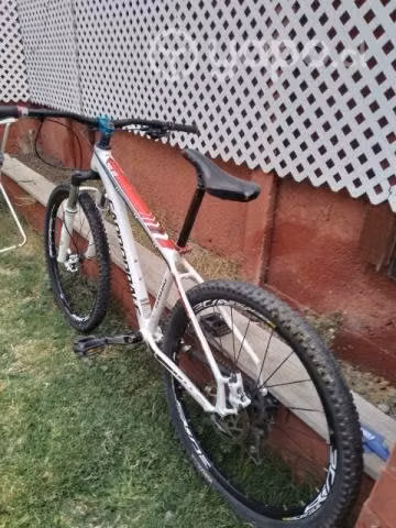 Bicicleta descenso