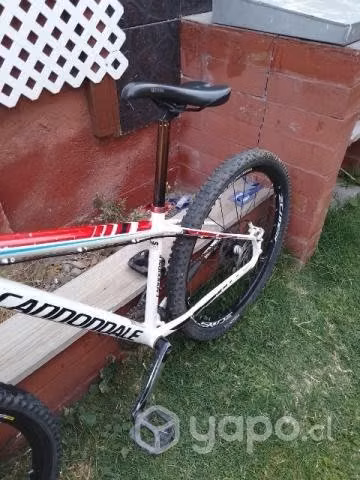 Bicicleta descenso