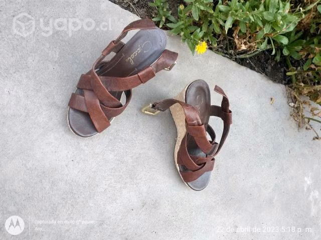 Hermosas chalas gacel