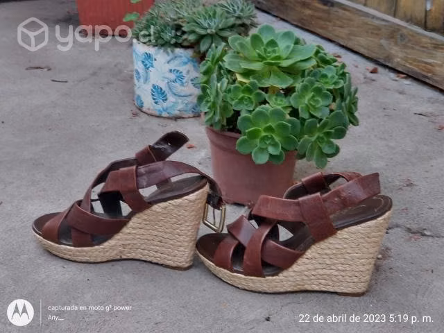 Hermosas chalas gacel