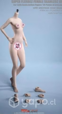 Figuras phicen 1/6