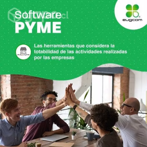 Software para Pymes