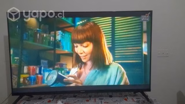 Televisor