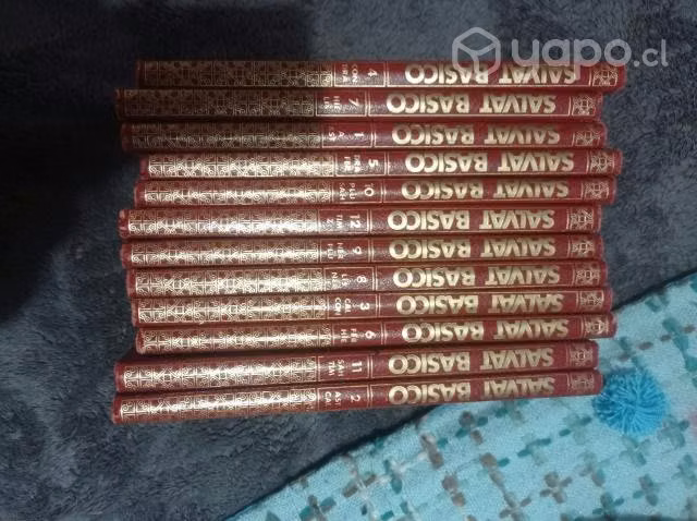 enciclopedia Salvat
